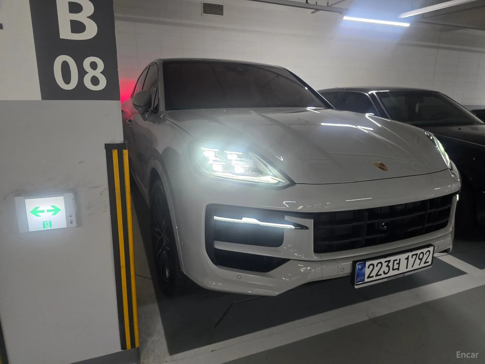 Cayenne (PO536)