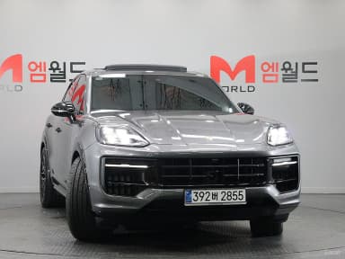 Cayenne (PO536)