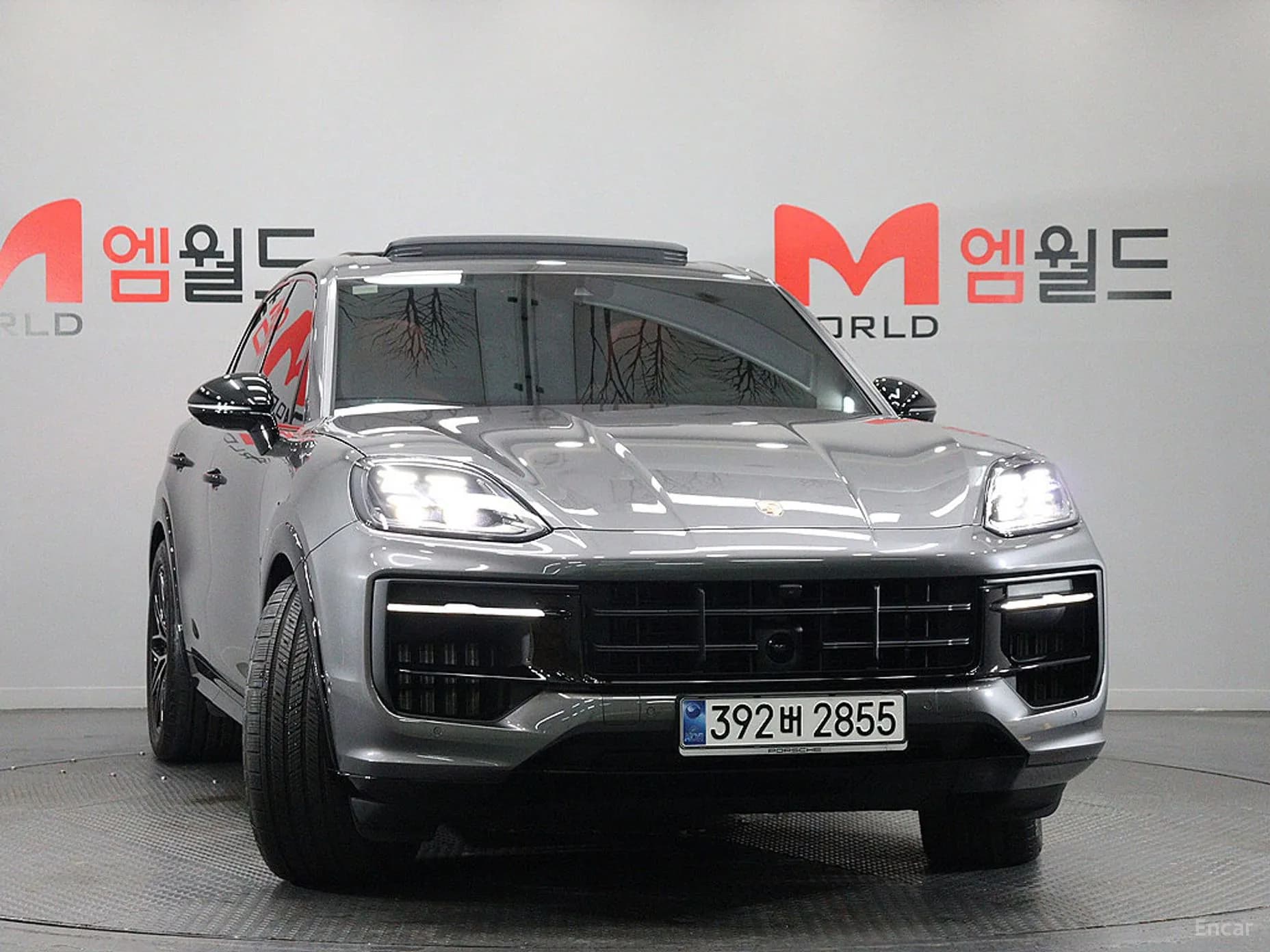 Cayenne (PO536)