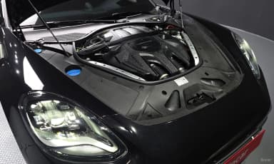 Panamera (971)