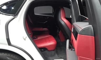 Cayenne (PO536)
