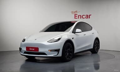 Model Y
