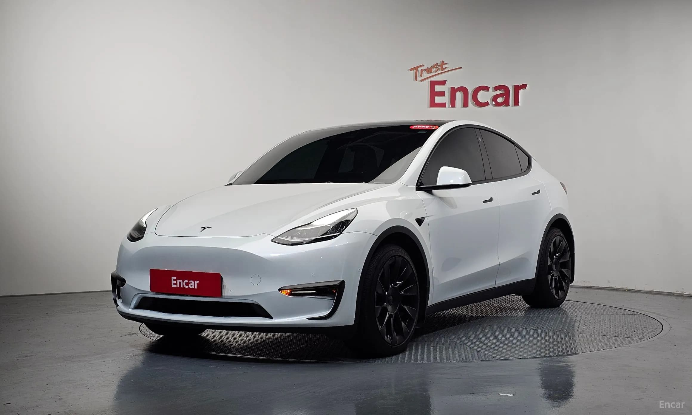 Model Y