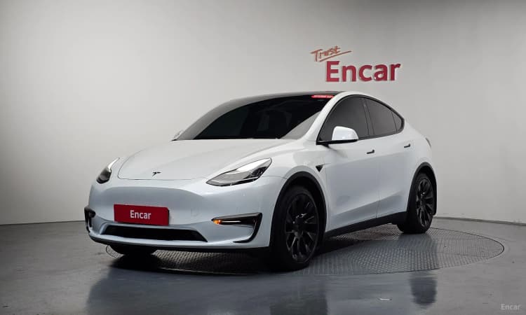 Model Y