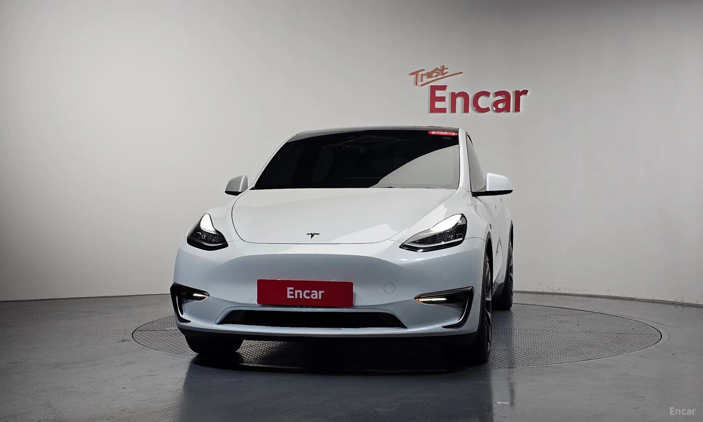 Model Y