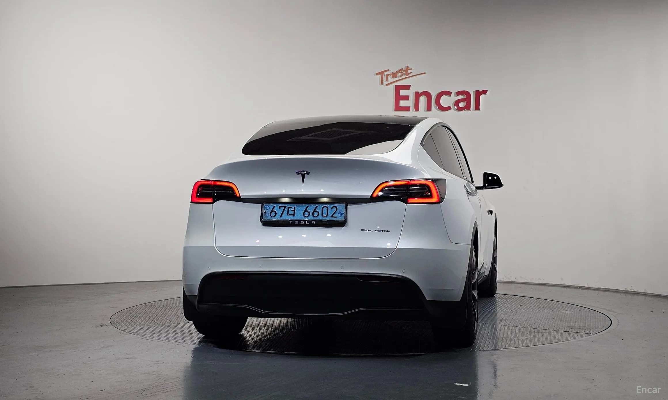 Model Y
