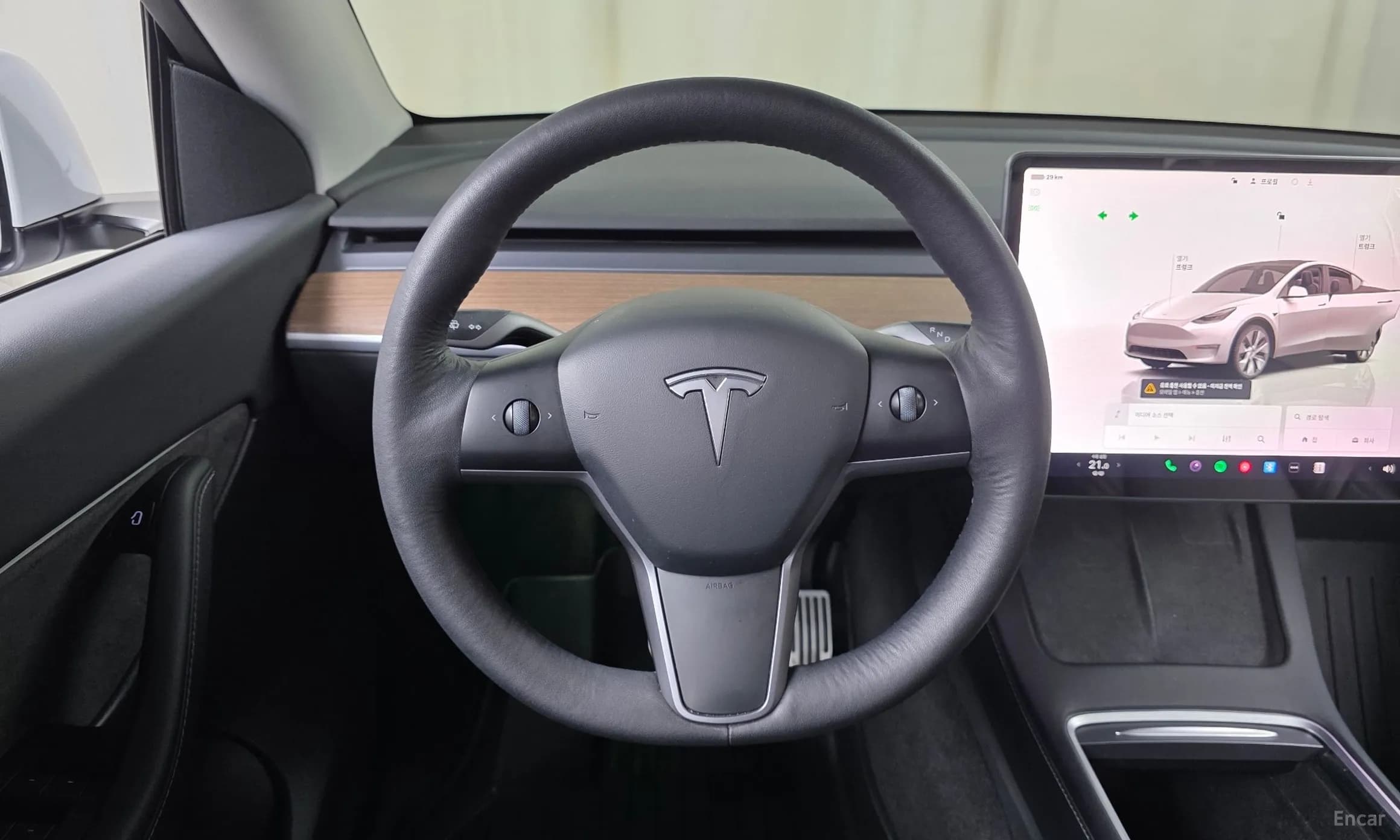 Model Y