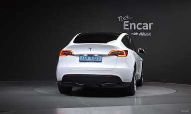 Model Y