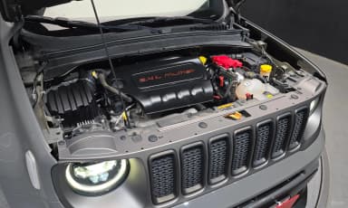 Renegade