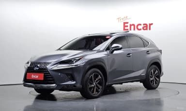 NX300h