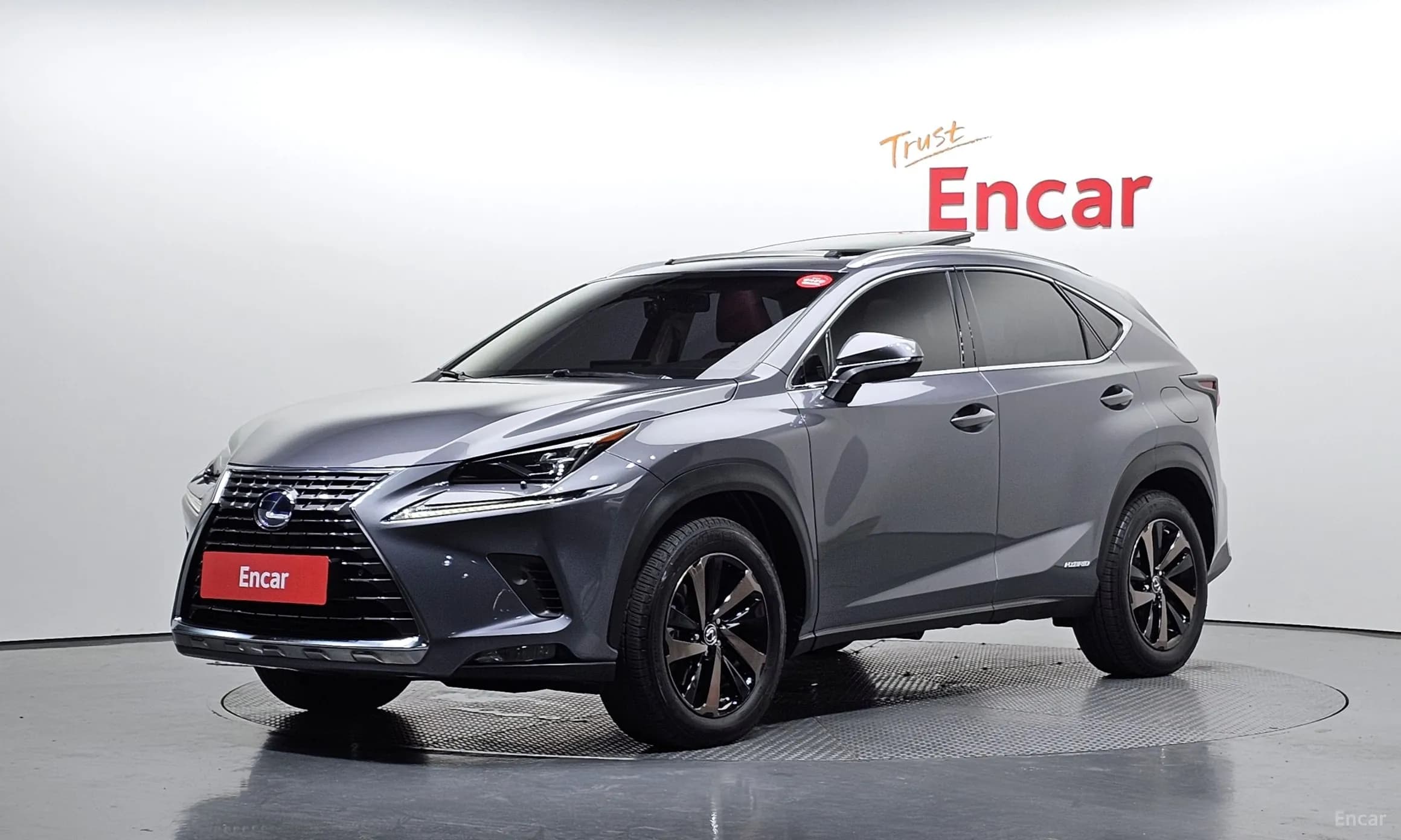 NX300h