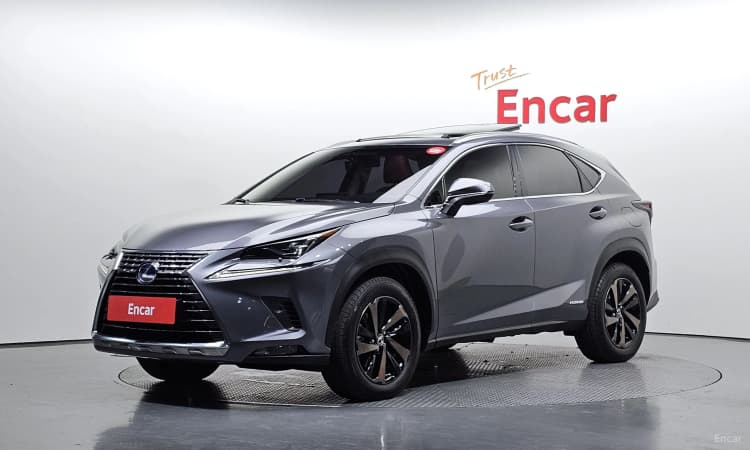 NX300h