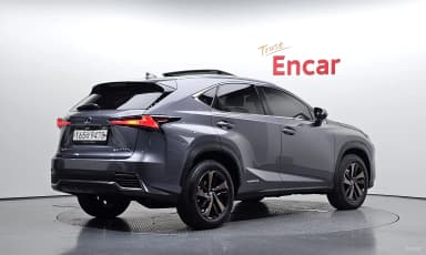 NX300h