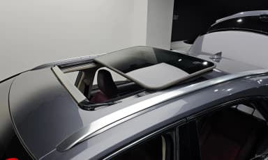 NX300h