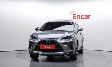 NX300h