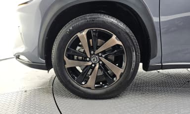 NX300h