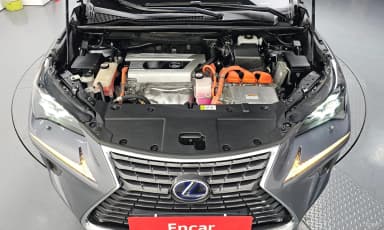 NX300h