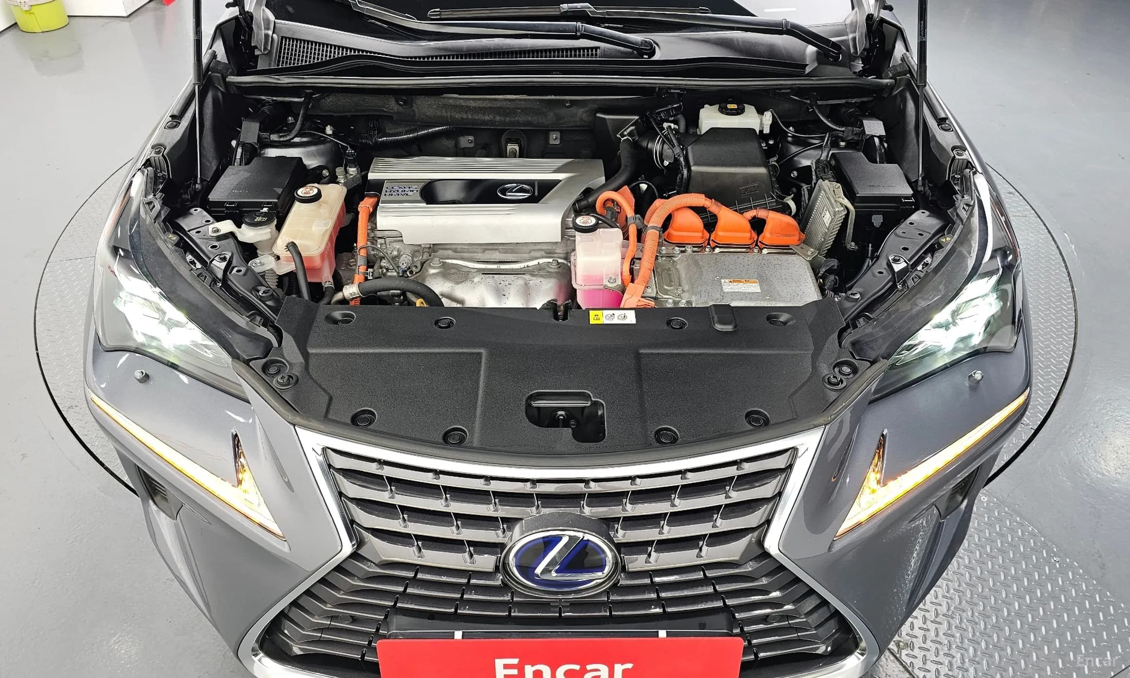 NX300h