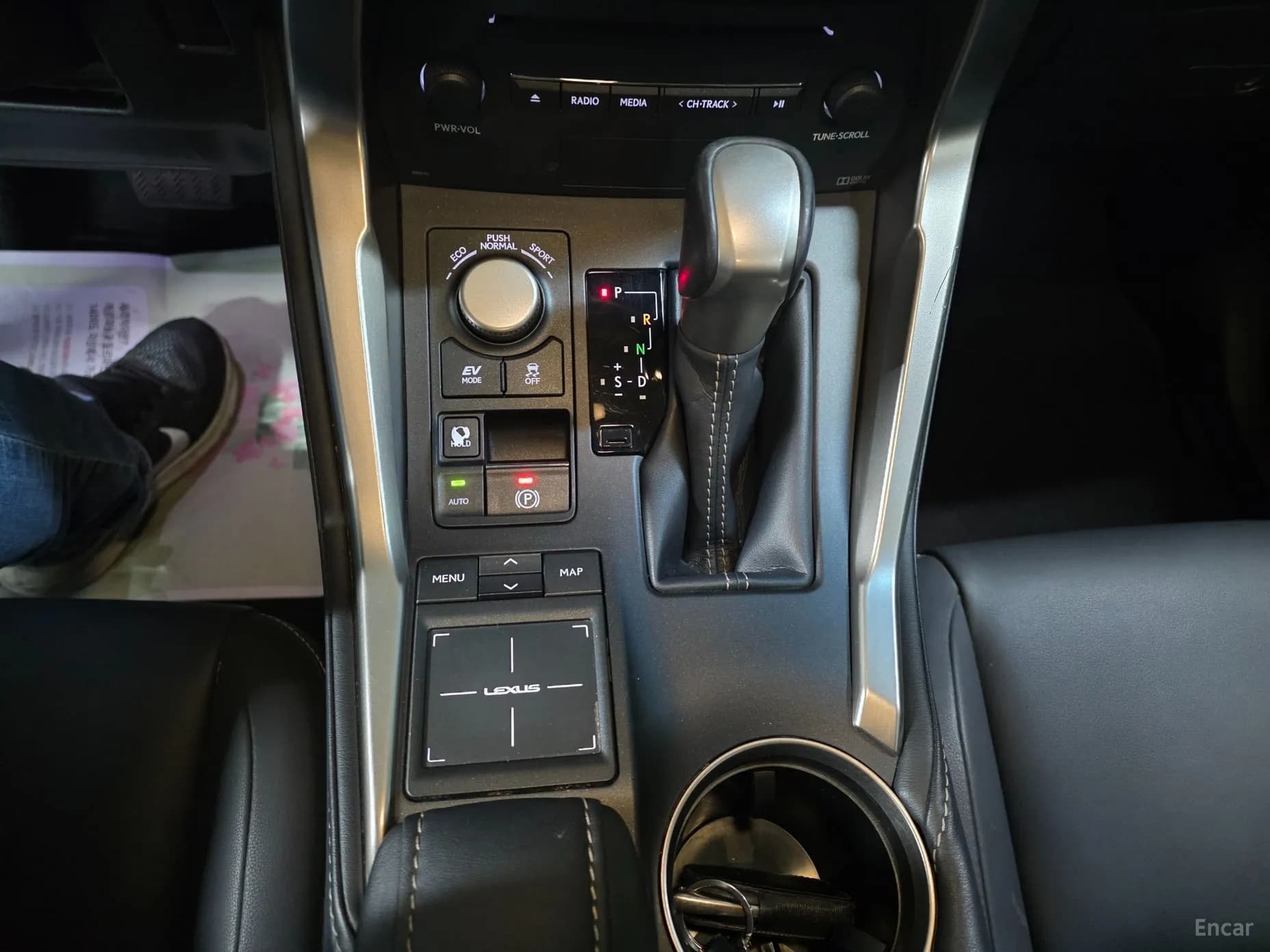 NX300h