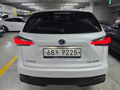NX300h