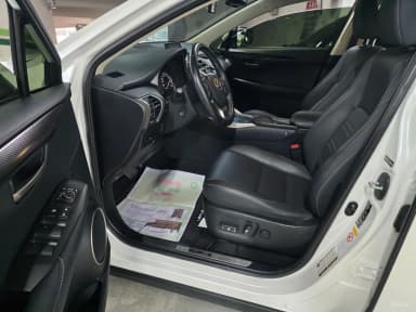 NX300h