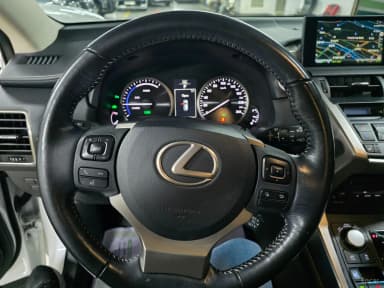 NX300h