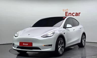 Model Y