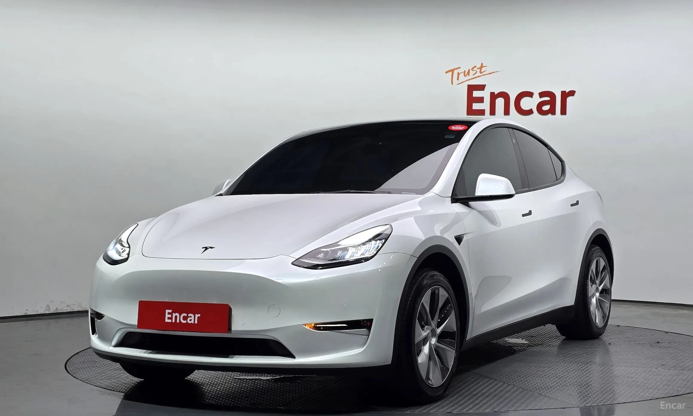 Model Y