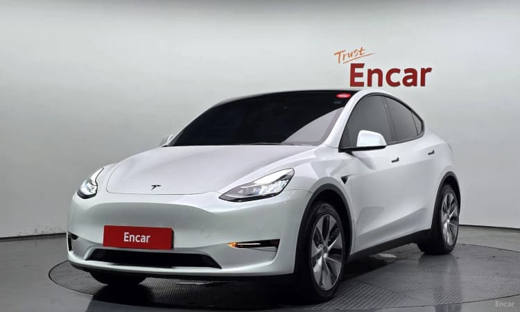 Model Y