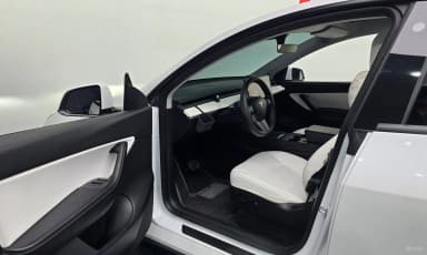 Model Y