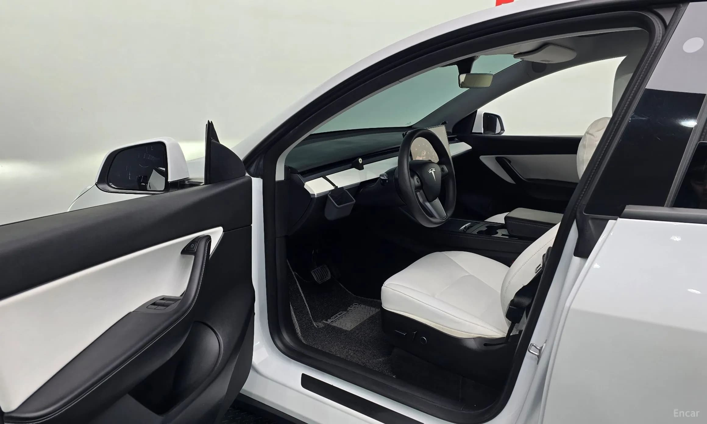 Model Y