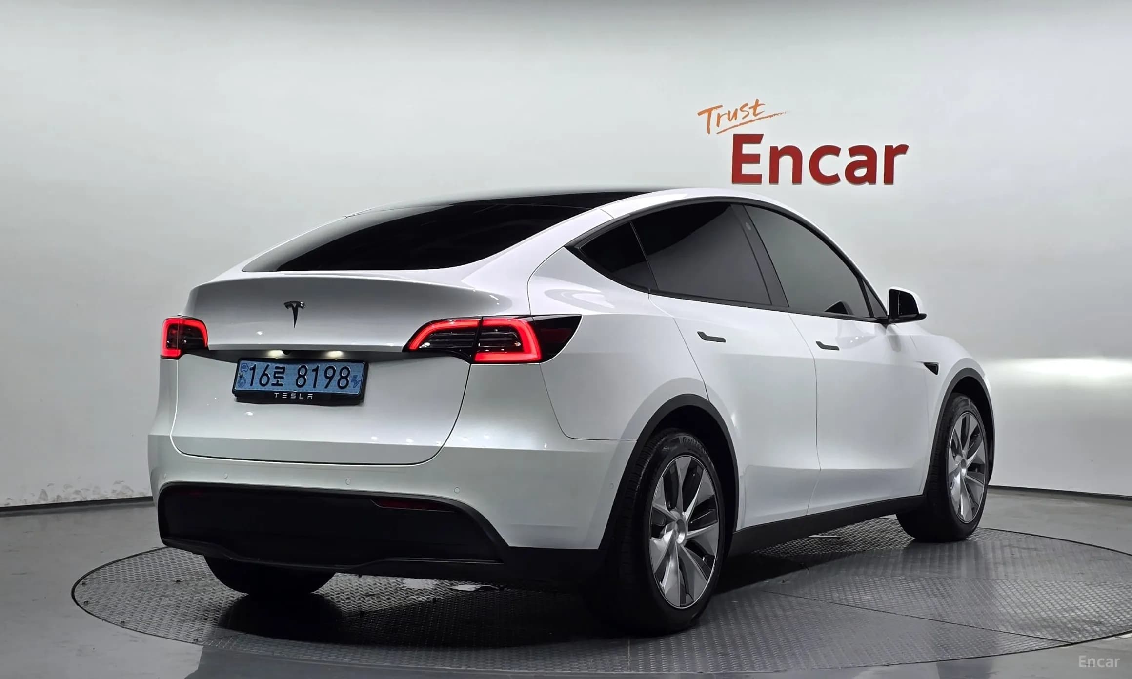 Model Y
