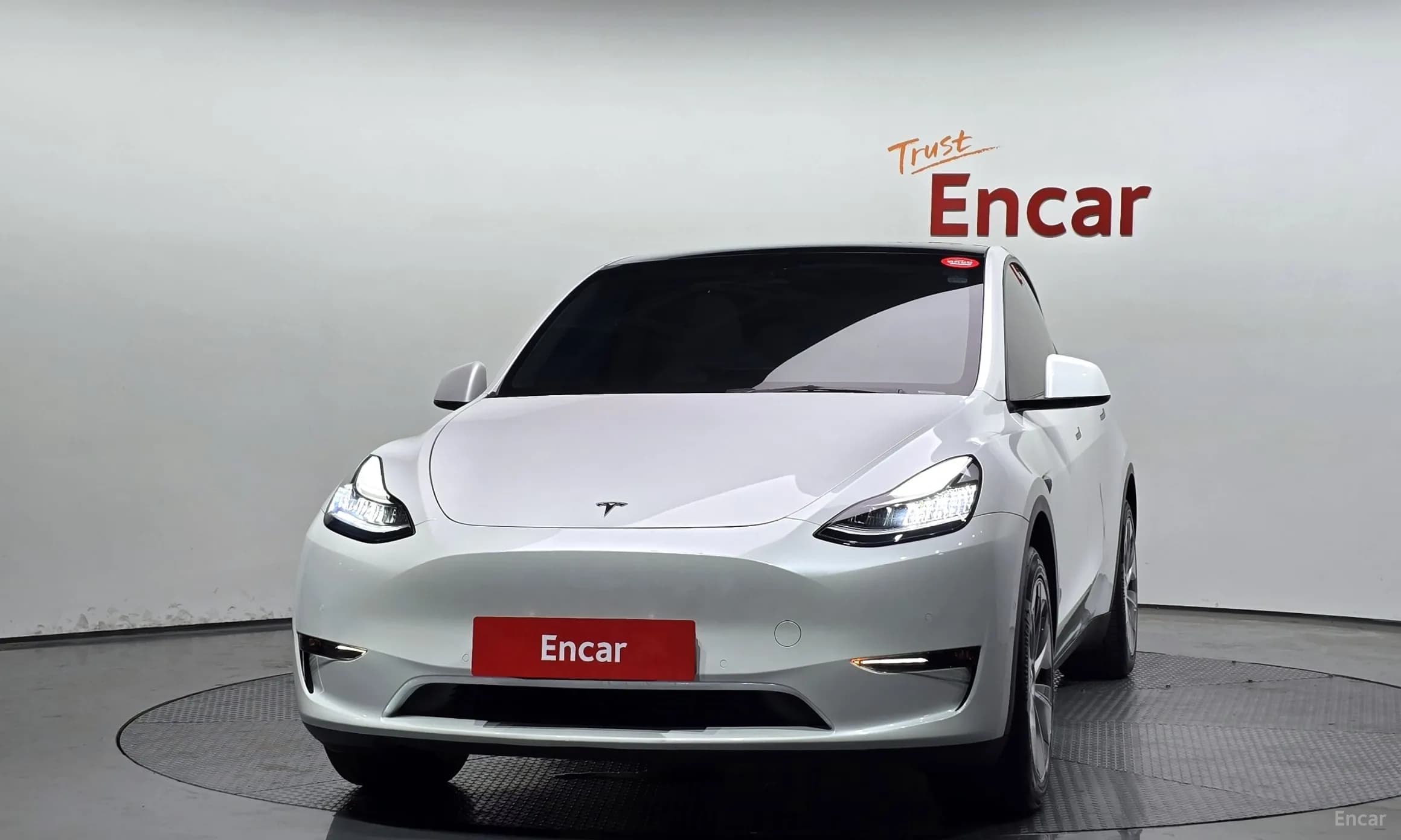 Model Y