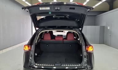 NX300h