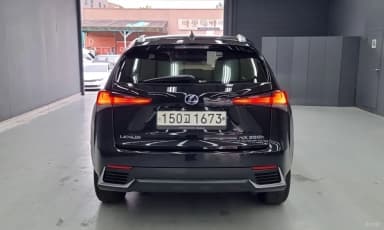 NX300h