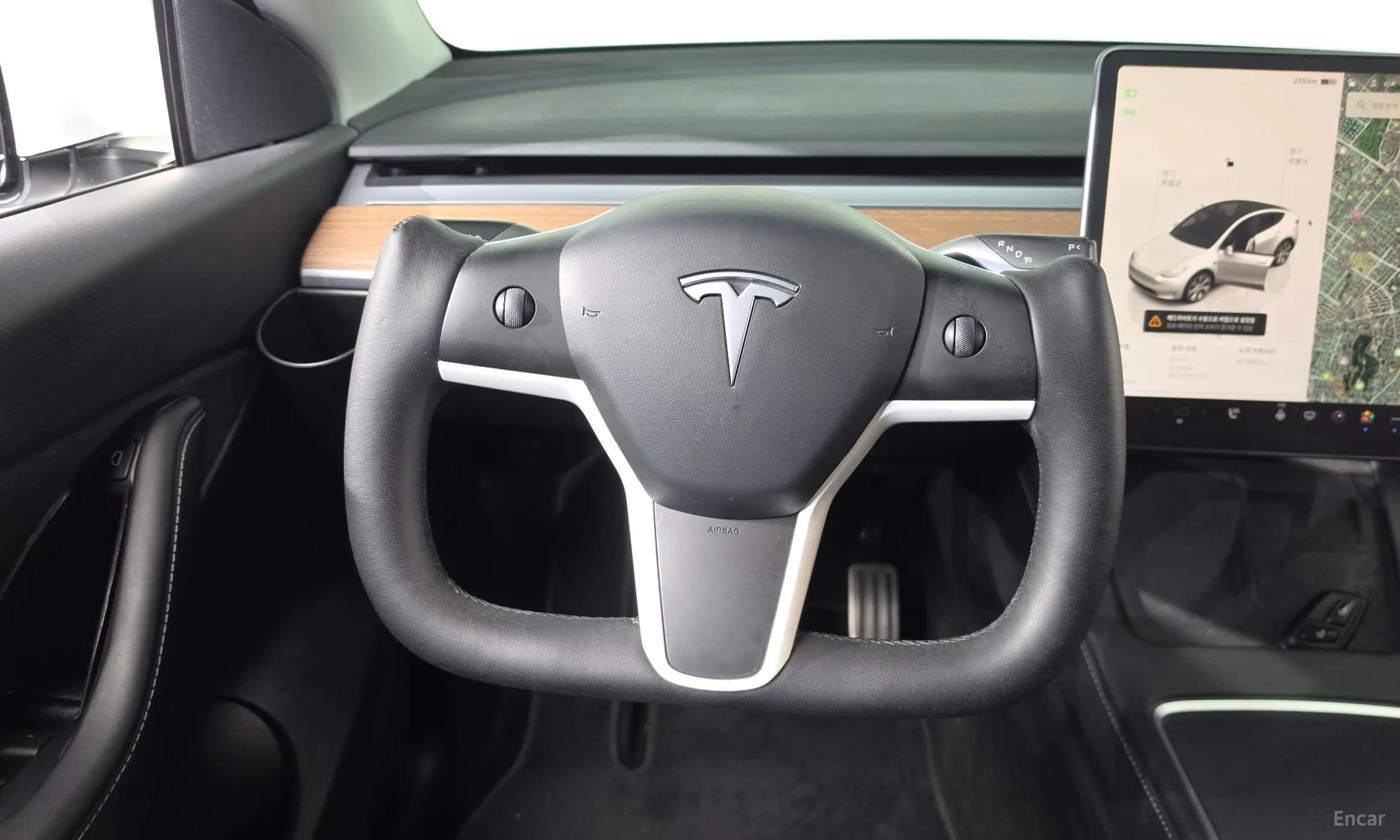 Model Y