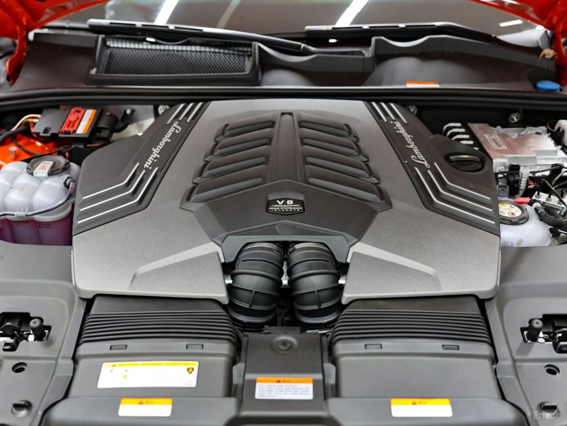 Urus