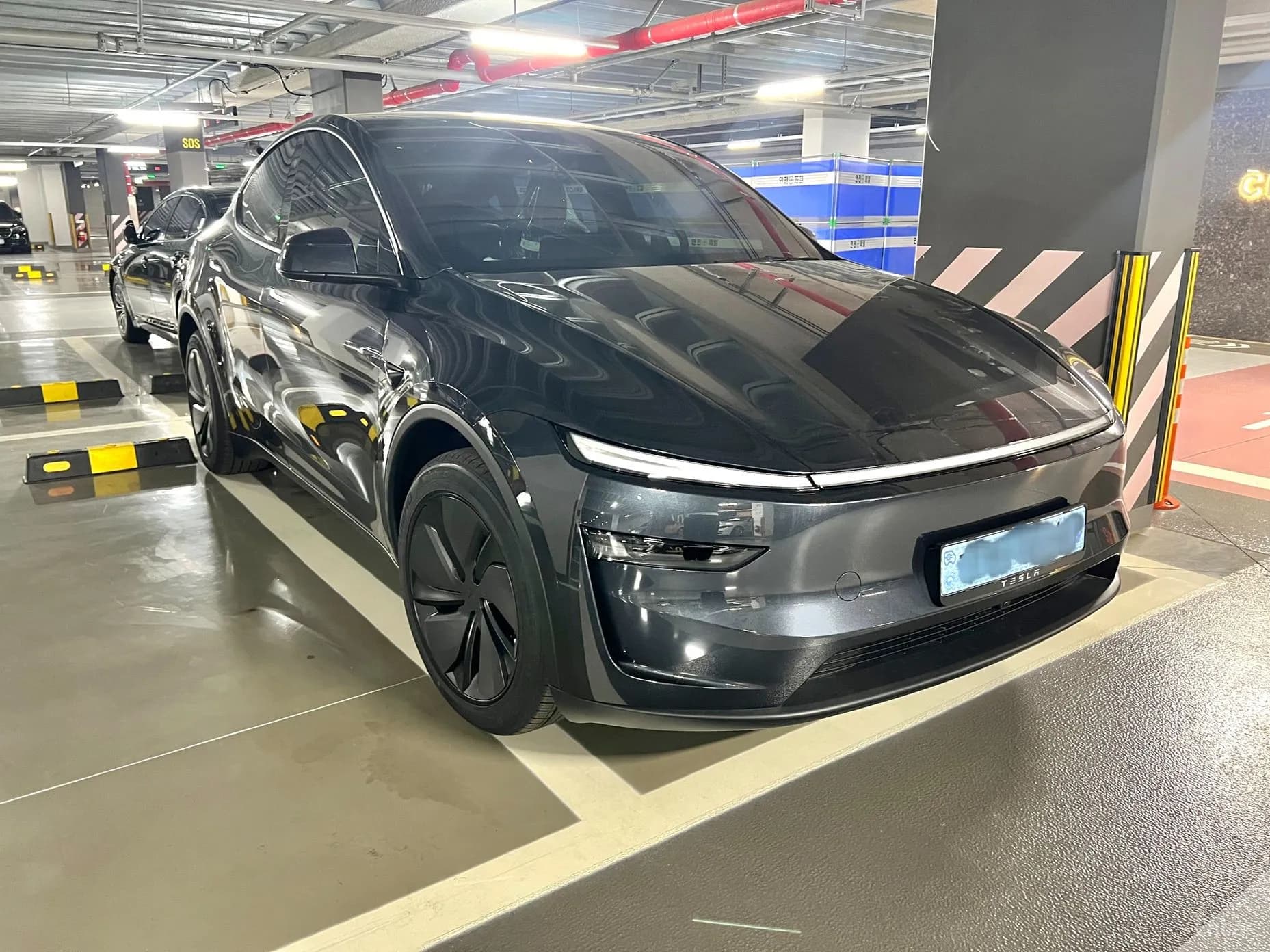 Model Y