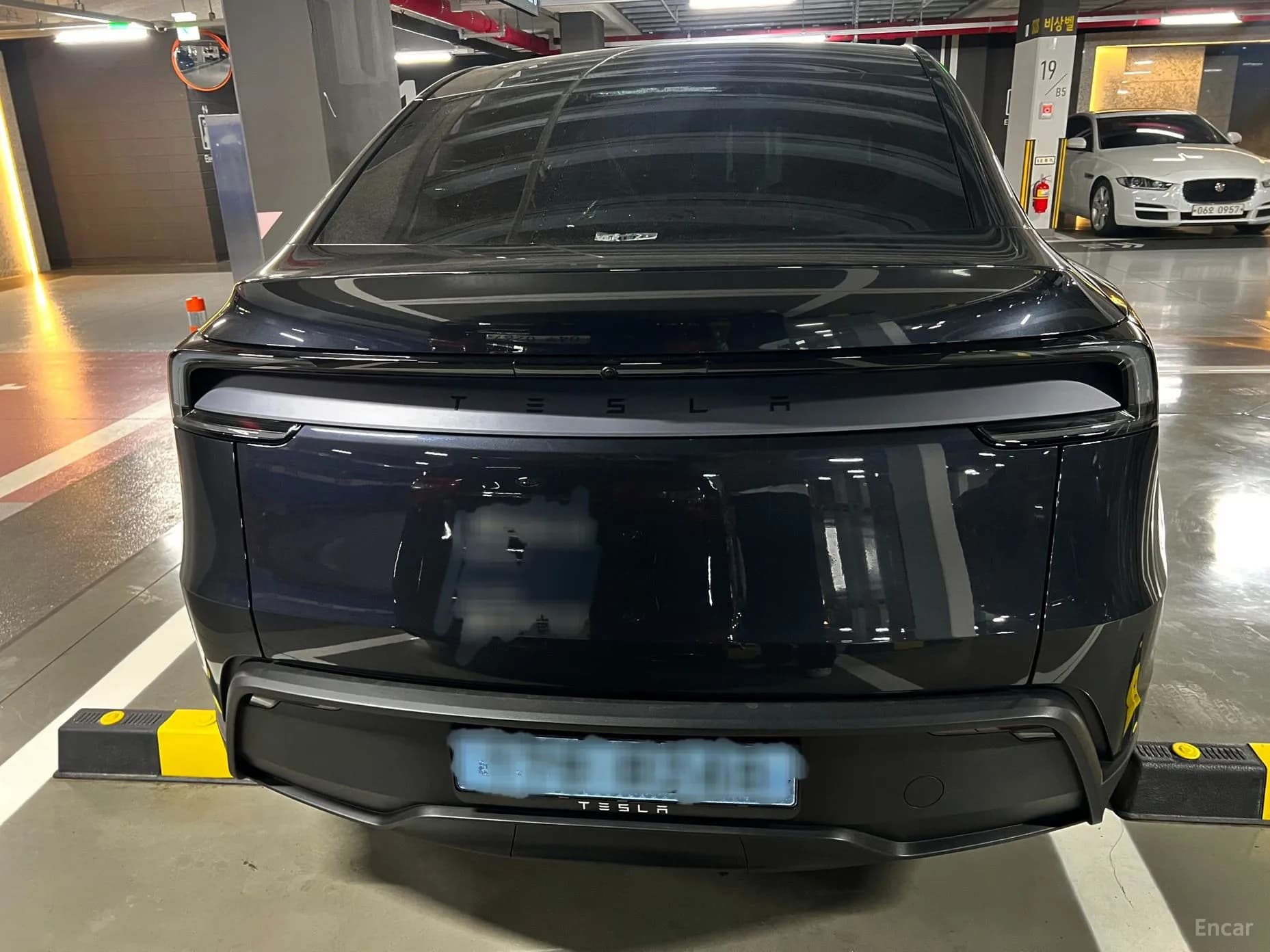 Model Y