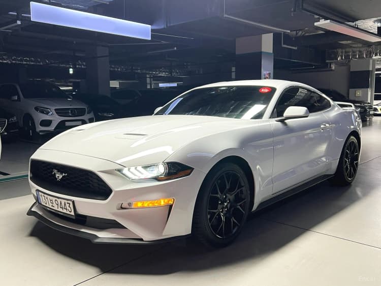 Mustang