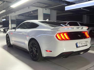 Mustang
