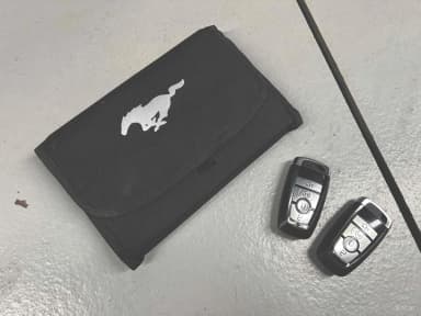 Mustang