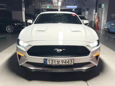 Mustang