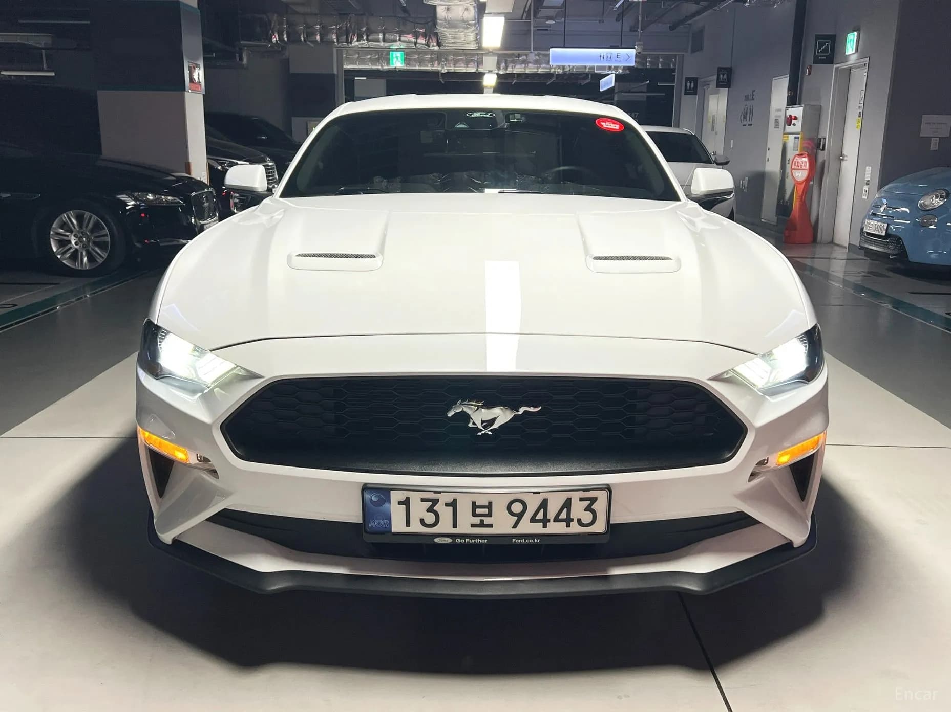 Mustang