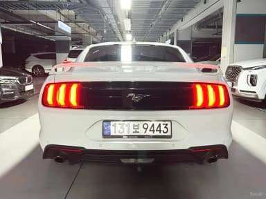 Mustang