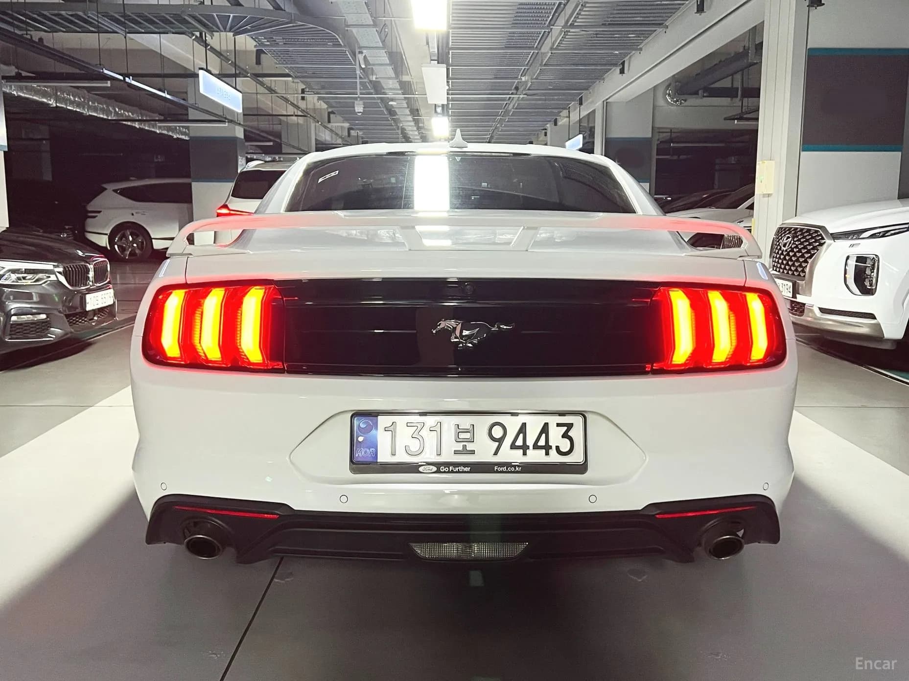 Mustang