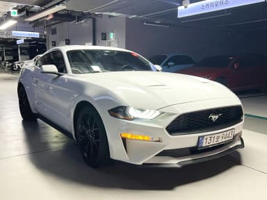 Mustang