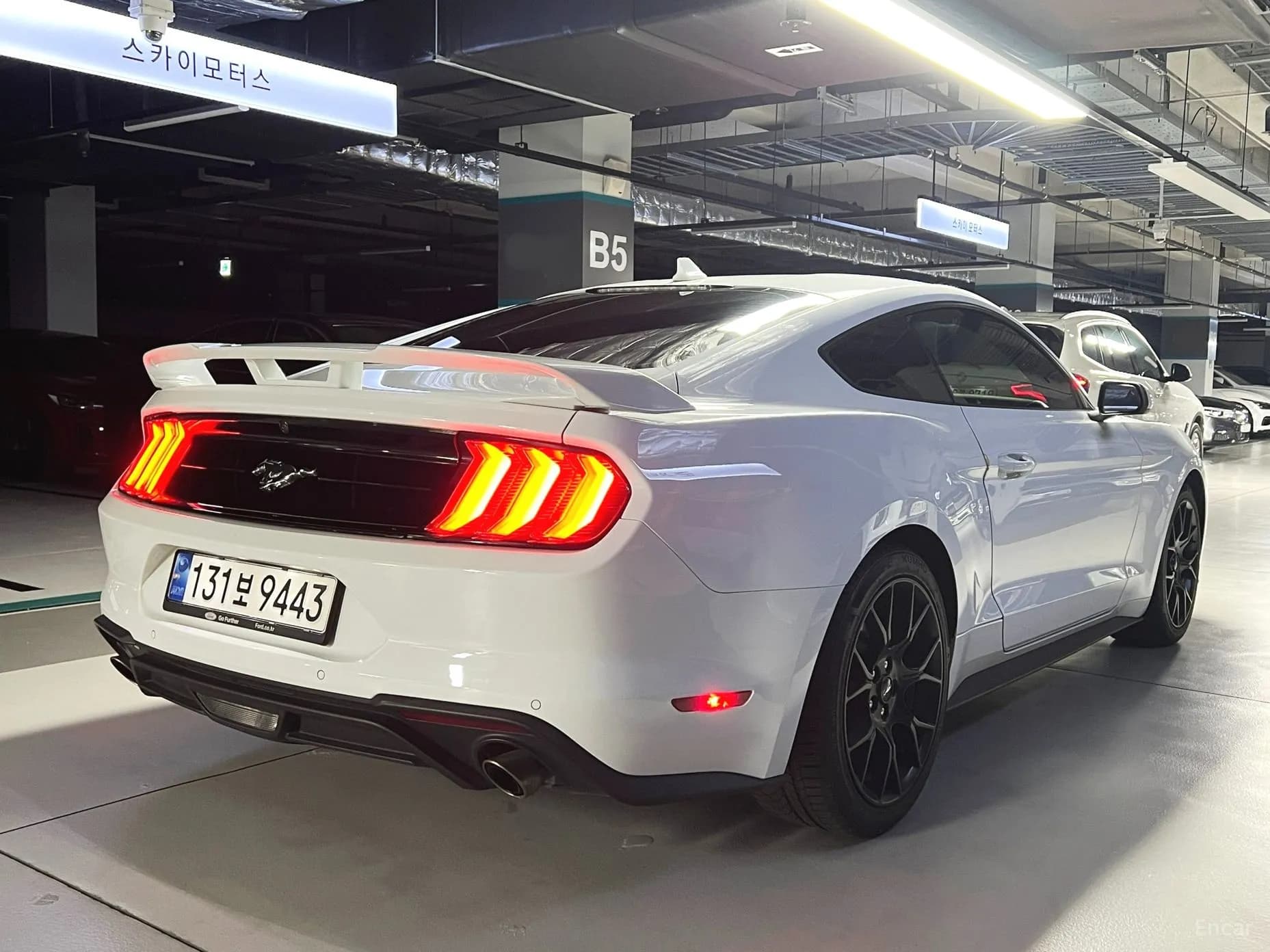 Mustang
