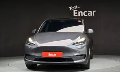 Model Y
