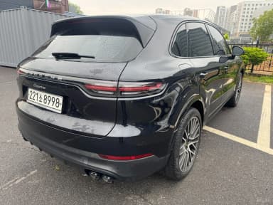 Cayenne (PO536)
